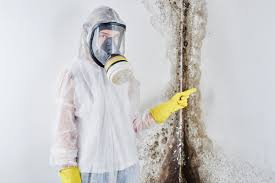 Mold Remediation for Rental Properties in Rosaryville, MD